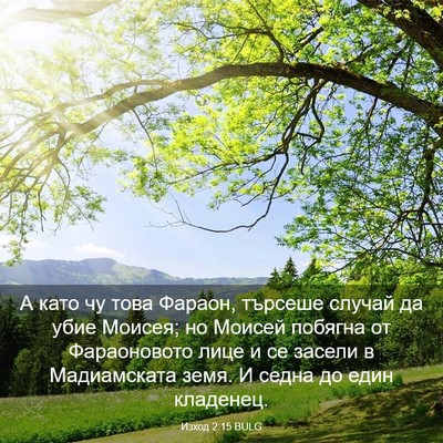 Picture 03 - Изход 2:15 BULG - А като чу това Фараон, - Bible Verse Picture