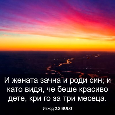 Picture 03 - Изход 2:2 BULG - И жената зачна и роди син; и - Bible Verse Picture