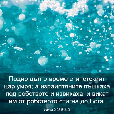 Picture 03 - Изход 2:23 BULG - Подир дълго време - Bible Verse Picture