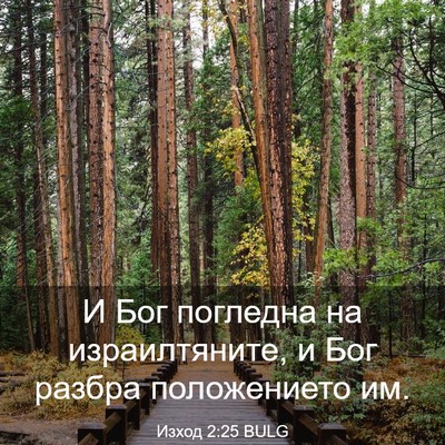 Picture 03 - Изход 2:25 BULG - И Бог погледна на - Bible Verse Picture