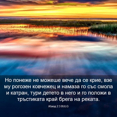 Picture 03 - Изход 2:3 BULG - Но понеже не можеше вече да - Bible Verse Picture