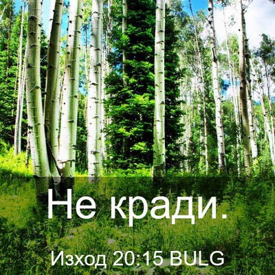 Picture 03 - Изход 20:15 BULG - Не - Bible Verse Picture