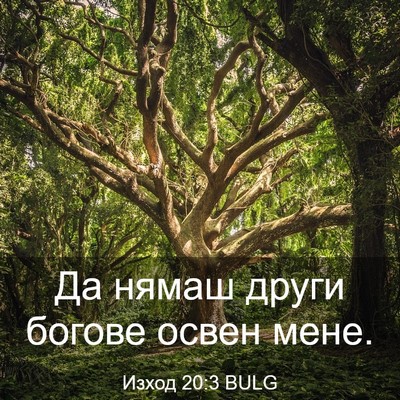 Picture 03 - Изход 20:3 BULG - Да нямаш други богове - Bible Verse Picture