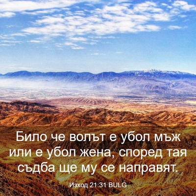 Picture 03 - Изход 21:31 BULG - Било че волът е убол мъж - Bible Verse Picture