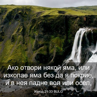 Picture 03 - Изход 21:33 BULG - Ако отвори някой яма, или - Bible Verse Picture