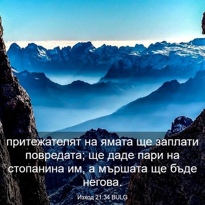 Picture 03 - Изход 21:34 BULG - притежателят на ямата ще - Bible Verse Picture