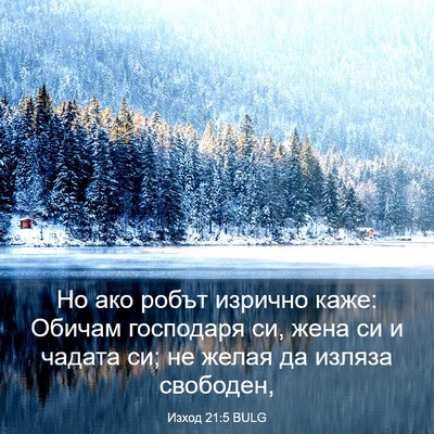 Picture 03 - Изход 21:5 BULG - Но ако робът изрично каже: - Bible Verse Picture