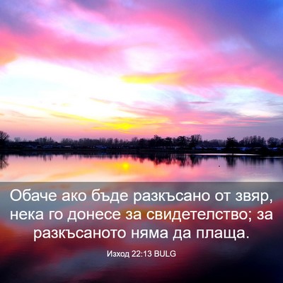 Picture 03 - Изход 22:13 BULG - Обаче ако бъде разкъсано - Bible Verse Picture
