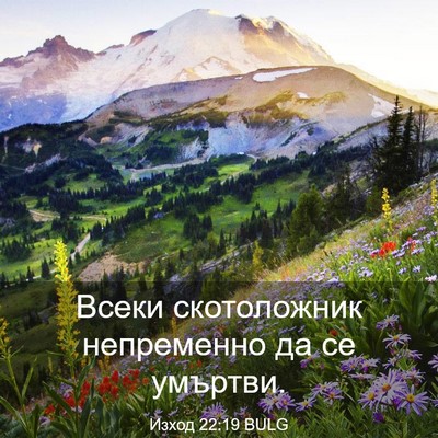 Picture 03 - Изход 22:19 BULG - Всеки скотоложник - Bible Verse Picture