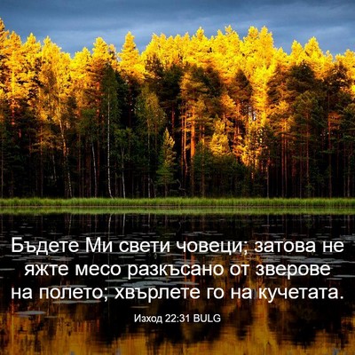 Picture 03 - Изход 22:31 BULG - Бъдете Ми свети човеци; - Bible Verse Picture