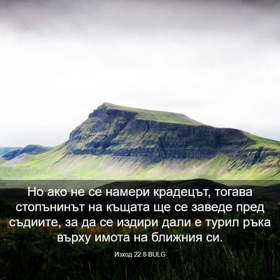 Picture 03 - Изход 22:8 BULG - Но ако не се намери - Bible Verse Picture