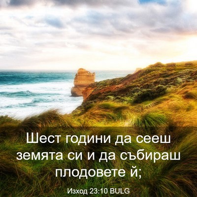 Picture 03 - Изход 23:10 BULG - Шест години да сееш земята - Bible Verse Picture