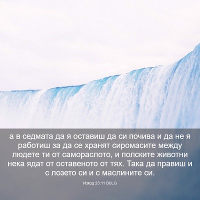 Picture 03 - Изход 23:11 BULG - а в седмата да я оставиш да - Bible Verse Picture