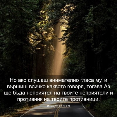 Picture 03 - Изход 23:22 BULG - Но ако слушаш внимателно - Bible Verse Picture