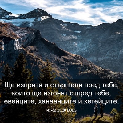 Picture 03 - Изход 23:28 BULG - Ще изпратя и стършели пред - Bible Verse Picture