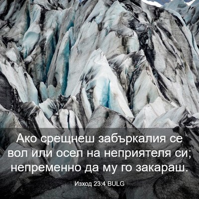 Picture 03 - Изход 23:4 BULG - Ако срещнеш забъркалия се - Bible Verse Picture