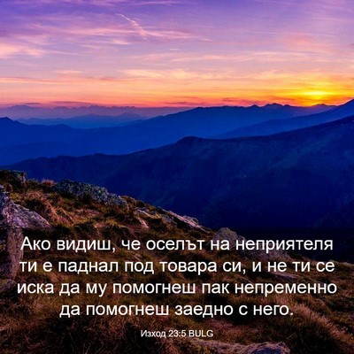 Picture 03 - Изход 23:5 BULG - Ако видиш, че оселът на - Bible Verse Picture