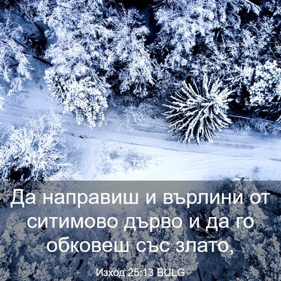 Picture 03 - Изход 25:13 BULG - Да направиш и върлини от - Bible Verse Picture