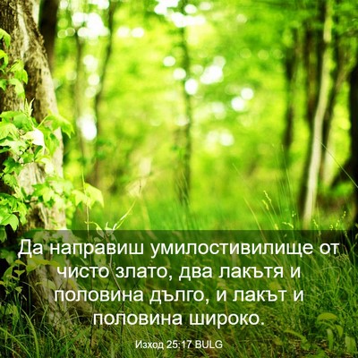 Picture 03 - Изход 25:17 BULG - Да направиш - Bible Verse Picture