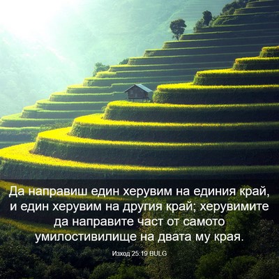 Picture 03 - Изход 25:19 BULG - Да направиш един херувим - Bible Verse Picture