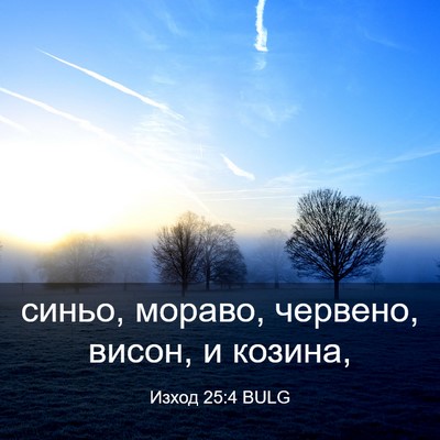 Picture 03 - Изход 25:4 BULG - синьо, мораво, червено, - Bible Verse Picture