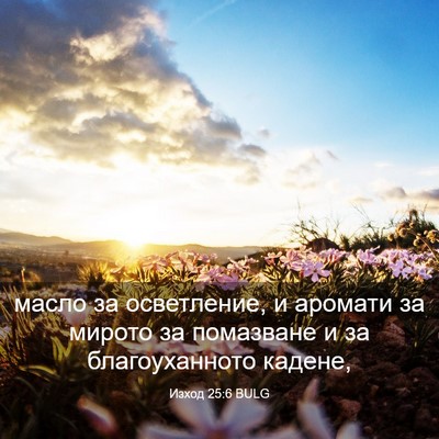 Picture 03 - Изход 25:6 BULG - масло за осветление, и - Bible Verse Picture