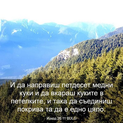 Picture 03 - Изход 26:11 BULG - И да направиш петдесет - Bible Verse Picture