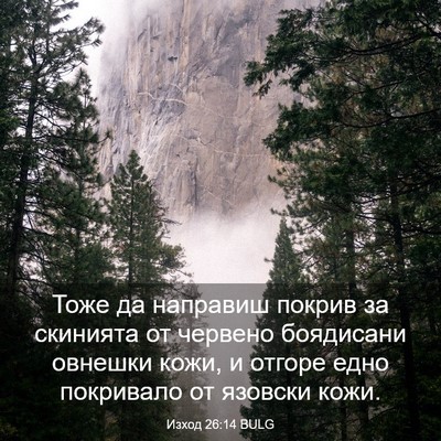 Picture 03 - Изход 26:14 BULG - Тоже да направиш покрив за - Bible Verse Picture