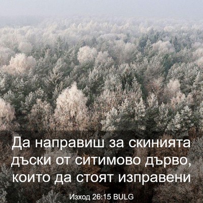 Picture 03 - Изход 26:15 BULG - Да направиш за скинията - Bible Verse Picture