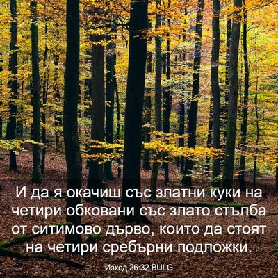 Picture 03 - Изход 26:32 BULG - И да я окачиш със златни - Bible Verse Picture