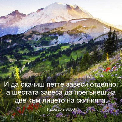 Picture 03 - Изход 26:9 BULG - И да окачиш петте завеси - Bible Verse Picture
