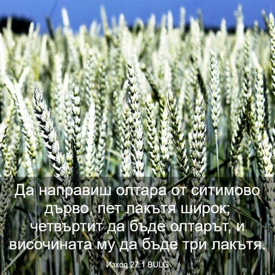 Picture 03 - Изход 27:1 BULG - Да направиш олтара от - Bible Verse Picture