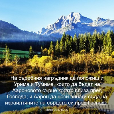 Picture 03 - Изход 28:30 BULG - На съдебния нагръдник да - Bible Verse Picture
