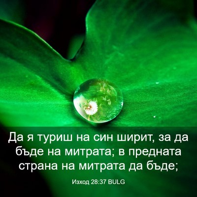 Picture 03 - Изход 28:37 BULG - Да я туриш на син ширит, за - Bible Verse Picture