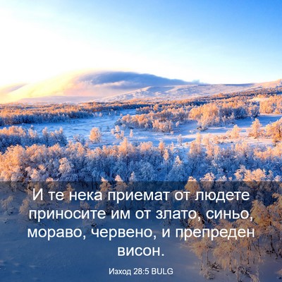 Picture 03 - Изход 28:5 BULG - И те нека приемат от людете - Bible Verse Picture