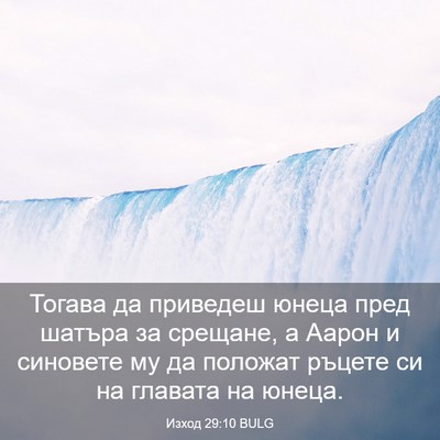 Picture 03 - Изход 29:10 BULG - Тогава да приведеш юнеца - Bible Verse Picture