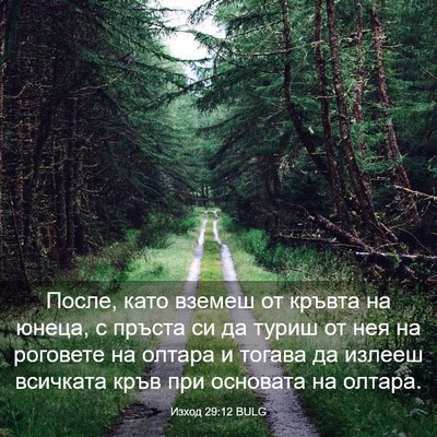 Picture 03 - Изход 29:12 BULG - После, като вземеш от - Bible Verse Picture