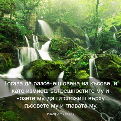 Picture 03 - Изход 29:17 BULG - Тогава да разсечеш овена - Bible Verse Picture