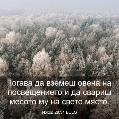 Picture 03 - Изход 29:31 BULG - Тогава да вземеш овена на - Bible Verse Picture