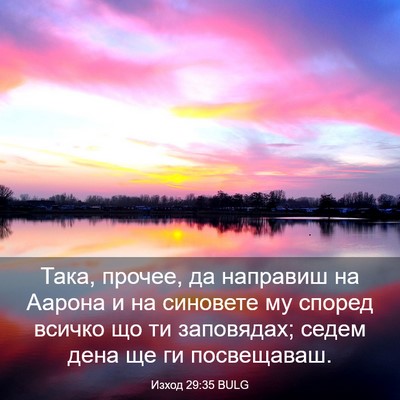 Picture 03 - Изход 29:35 BULG - Така, прочее, да направиш - Bible Verse Picture
