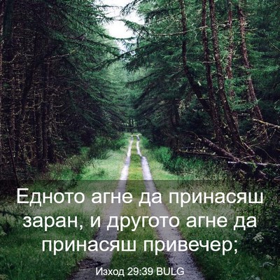Picture 03 - Изход 29:39 BULG - Едното агне да принасяш - Bible Verse Picture