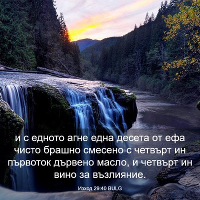 Picture 03 - Изход 29:40 BULG - и с едното агне една десета - Bible Verse Picture