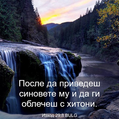 Picture 03 - Изход 29:8 BULG - После да приведеш синовете - Bible Verse Picture