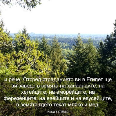 Picture 03 - Изход 3:17 BULG - и рече: Отсред страданието - Bible Verse Picture