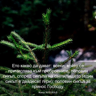 Picture 03 - Изход 30:13 BULG - Ето какво да дават: всеки, - Bible Verse Picture