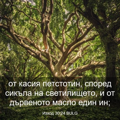 Picture 03 - Изход 30:24 BULG - от касия петстотин, според - Bible Verse Picture
