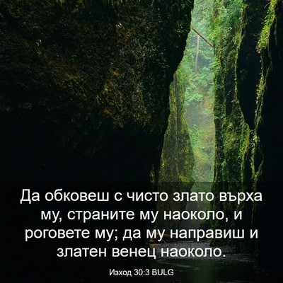 Picture 03 - Изход 30:3 BULG - Да обковеш с чисто злато - Bible Verse Picture