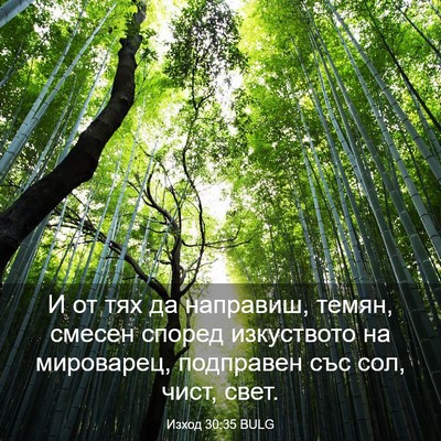 Picture 03 - Изход 30:35 BULG - И от тях да направиш, темян, - Bible Verse Picture