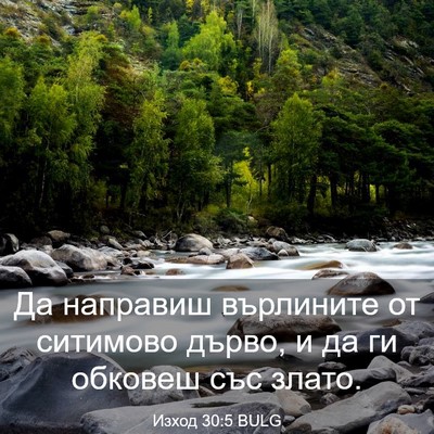 Picture 03 - Изход 30:5 BULG - Да направиш върлините от - Bible Verse Picture