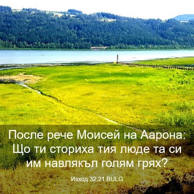 Picture 03 - Изход 32:21 BULG - После рече Моисей на - Bible Verse Picture
